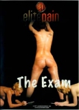 Elite Pain The Exam