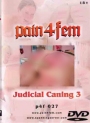 Pain4Fem Judical Caning 3