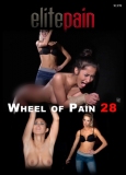 Elite Pain Wheel of Pain 28 - Ganz neu! Kurzzeitreduzierung!