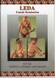 Whipped, Dildoed and Milked (Leda Female Domination)