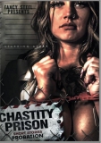 Fancy Steel - Chastity Prison Probation